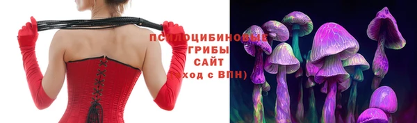эйфоретик Губаха