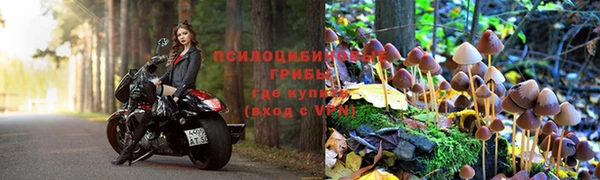 трава Беломорск