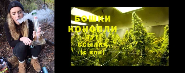 трава Беломорск