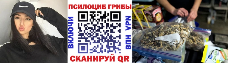 что такое   Видное  Псилоцибиновые грибы Psilocybine cubensis 