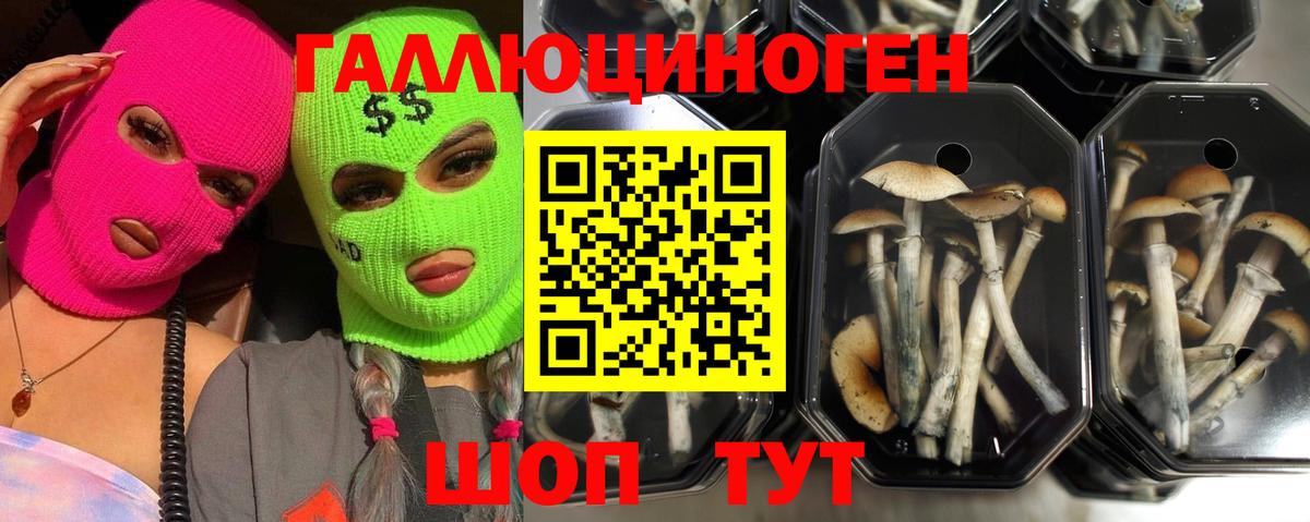 Видное  Галлюциногенные грибы MAGIC MUSHROOMS  Вход с VPN  Галлюциногенные грибы MAGIC MUSHROOMS 